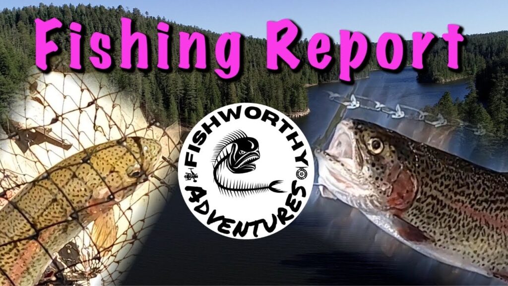 Willow springs lake fishing guide 🎣