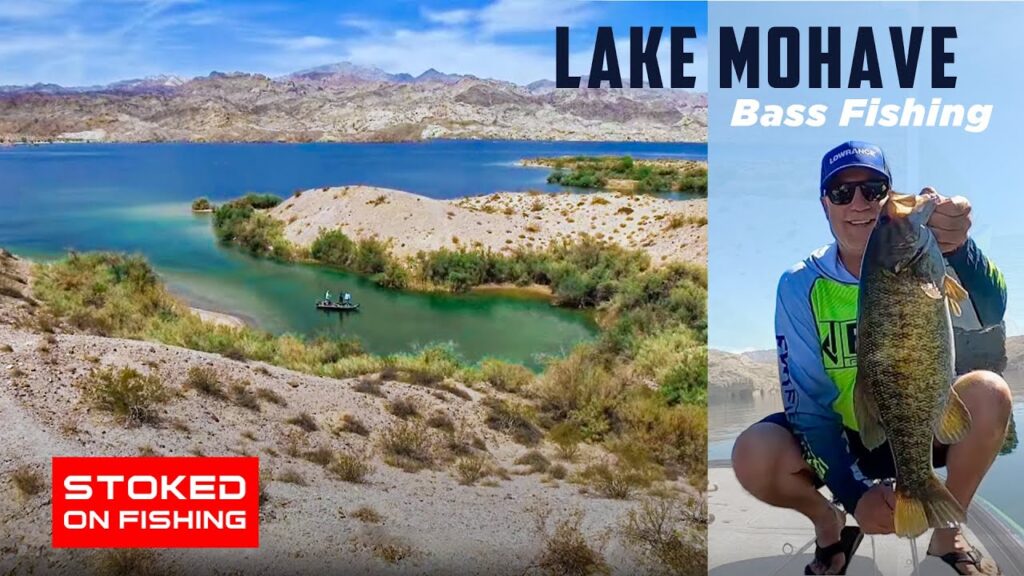 Mohave lake fishing guide 🎣