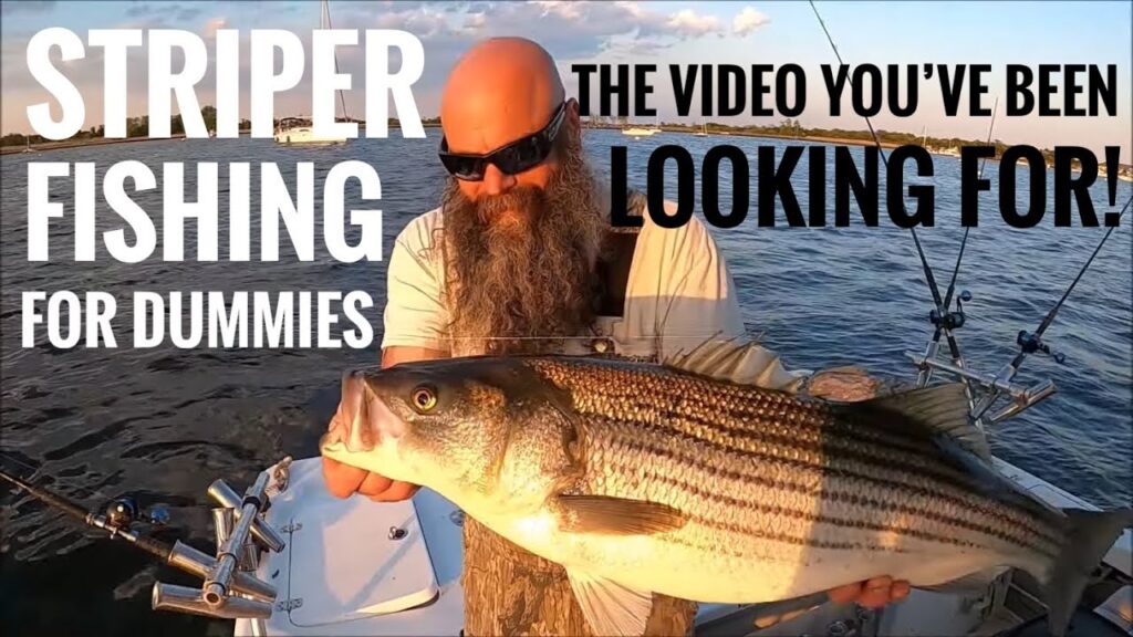 Striped bass fishing guide
