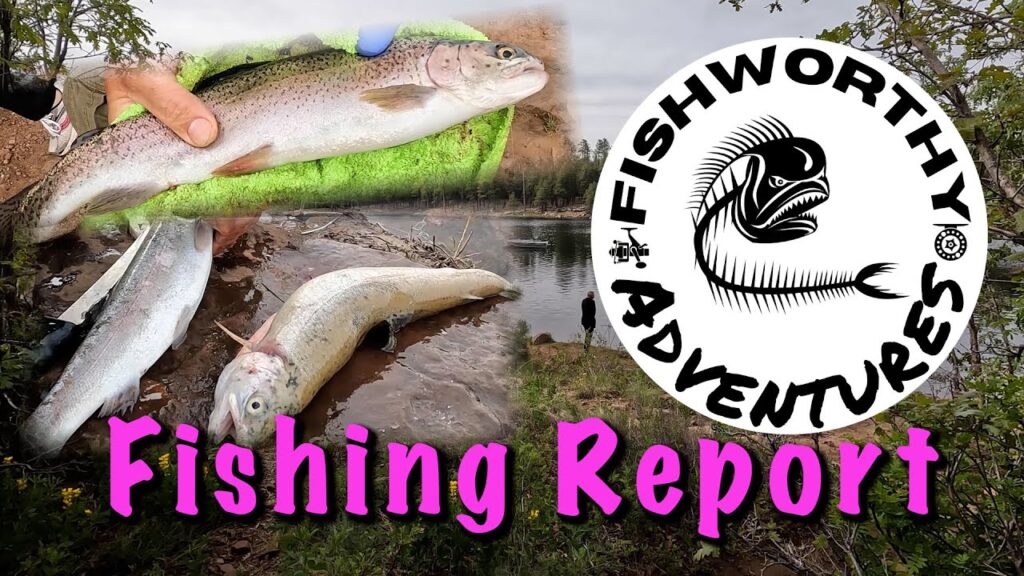 Woods canyon lake fishing guide 🎣