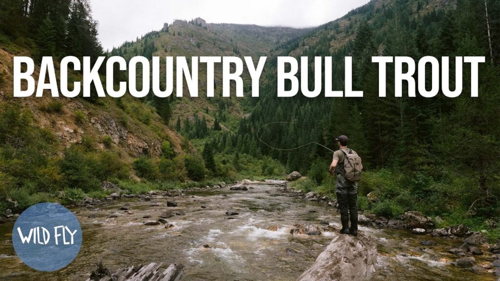 Bull trout fishing: essential bait, lures & tackle