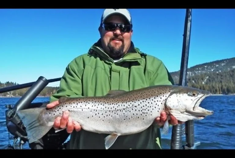 Almanor lake fishing report guide California
