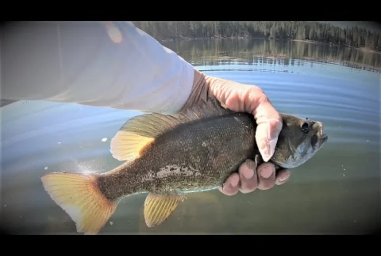 Antelope lake fishing report guide california 1