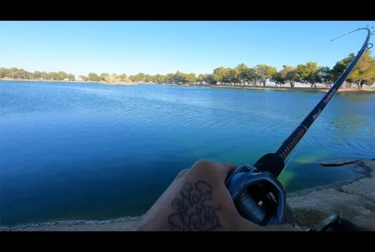 Apollo park lake fishing report guide california