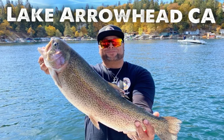 Arrowhead lake fishing report guide california