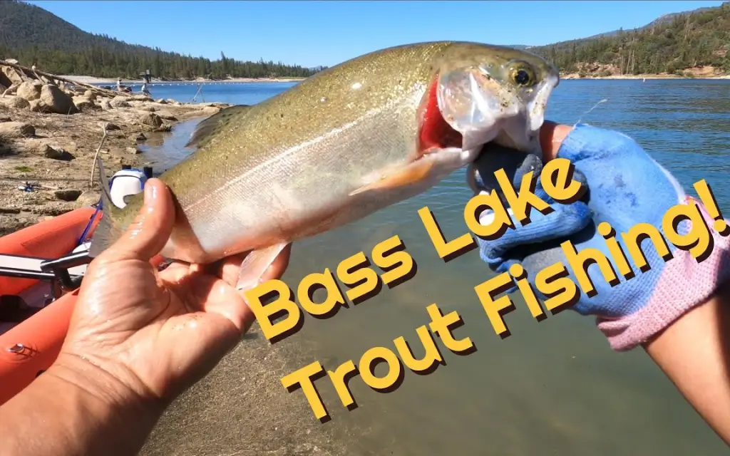 Bass lake fishing report guide california 01