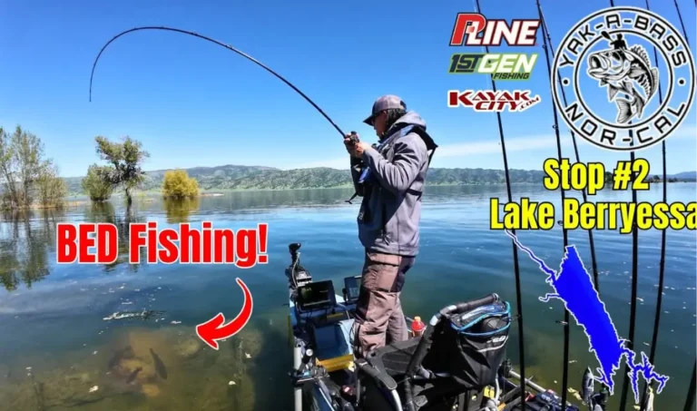 Berryessa lake fishing report guide california 01