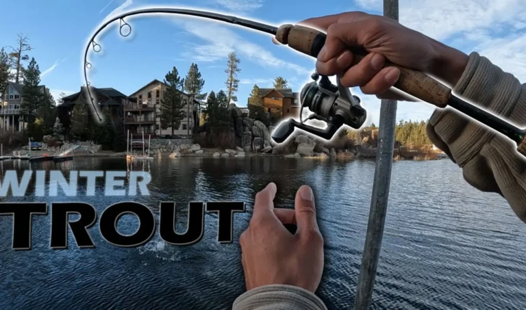 Big bear lake fishing report guide california 01