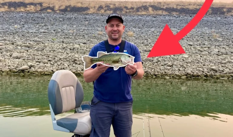 Black butte lake fishing report guide california 01