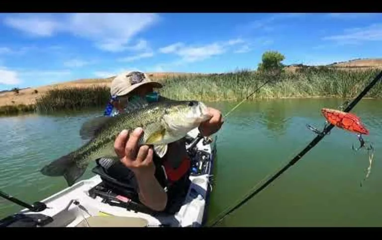 Calero reservoir lake fishing report guide california 01