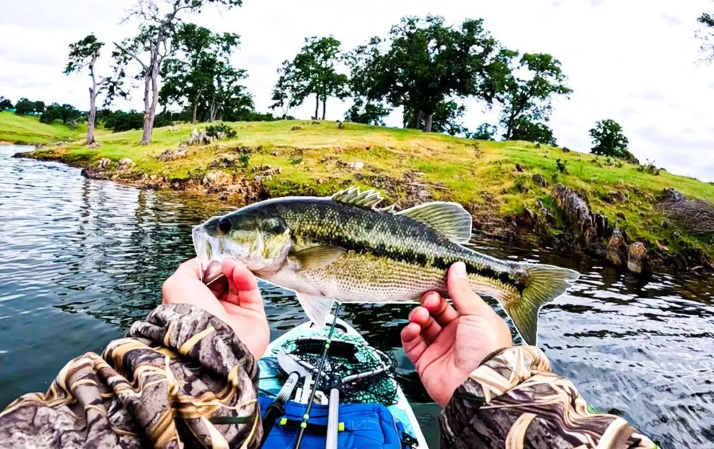 Camp far west reservoir lake fishing report guide california 01