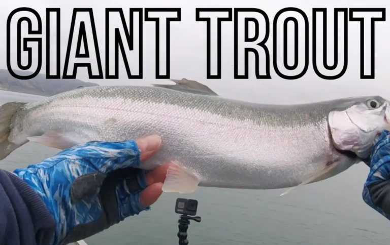 Casitas lake fishing report guide california 02