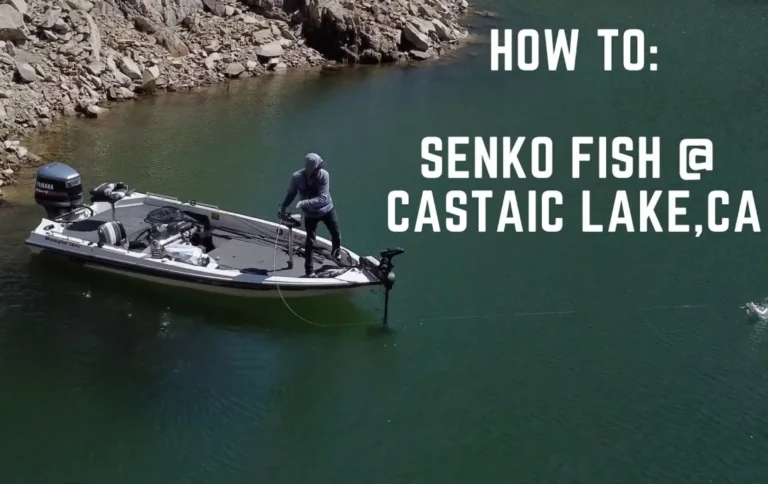 Castaic lake fishing report guide california 01