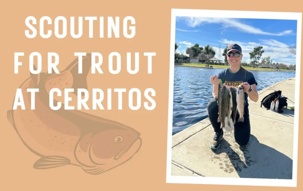 Cerritos park lake fishing report guide california 03