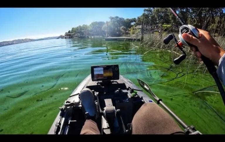 Clear lake fishing report guide california 01