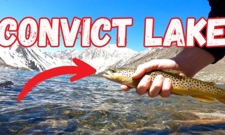 Convict lake fishing report guide california 01