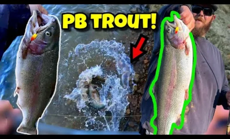 Del valle lake fishing report guide california 01