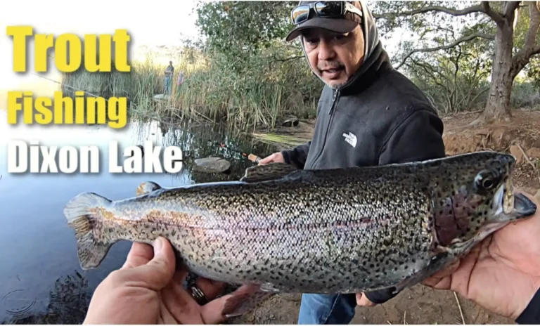 Dixon lake fishing report guide california 01