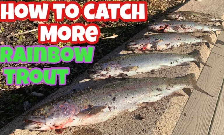 Donner lake fishing report guide california 01