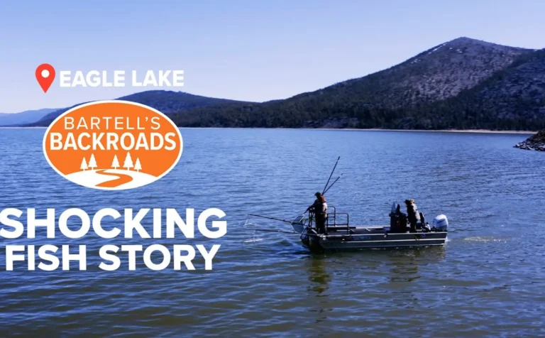 Eagle lake fishing report guide california 01