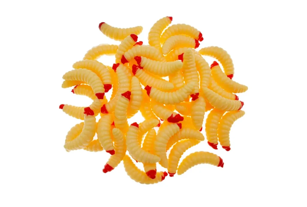 Fishing maggot baits worms
