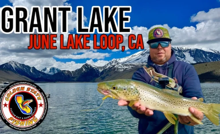 Grant lake fishing report guide california 01