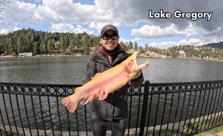 Gregory lake fishing report guide california 01