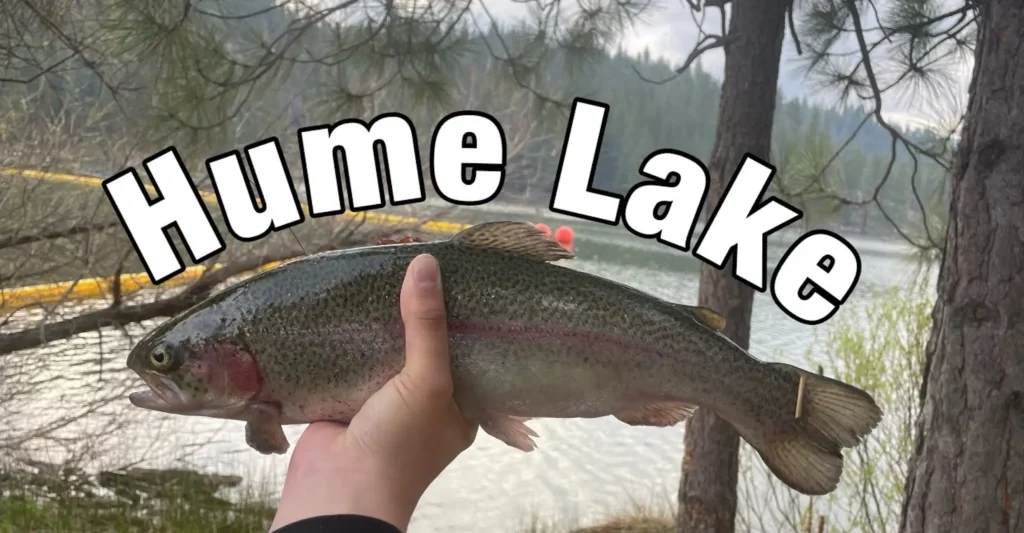 Hume lake fishing report guide california 01