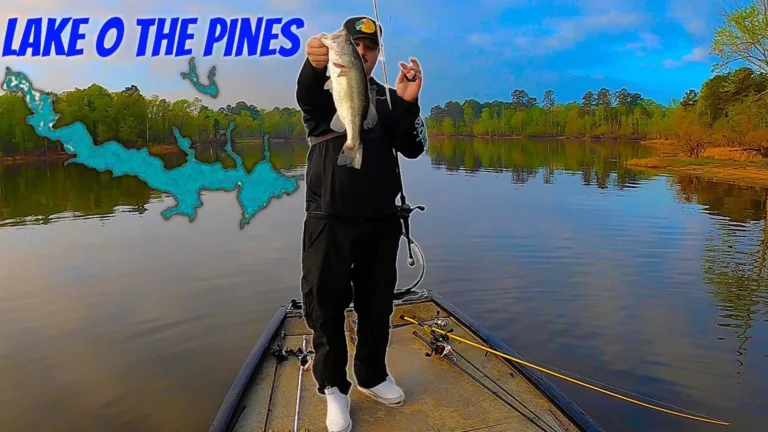 Lake of the pines lake fishing report guide california 01