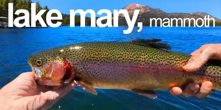 Mary lake fishing report guide california 01