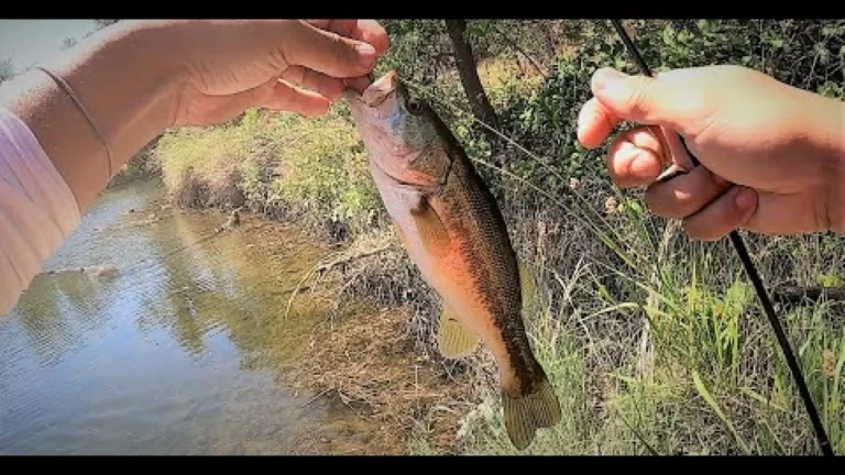 Natoma lake fishing report guide california 03