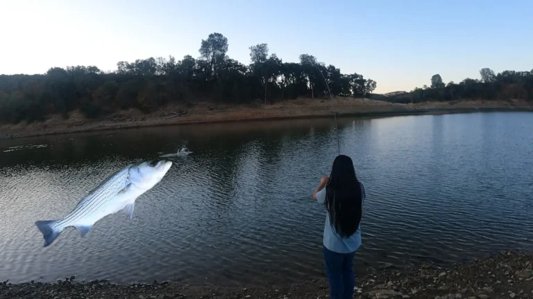 New hogan lake fishing report guide california 01