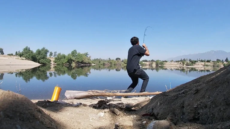 Peck road park lake fishing report guide california 01