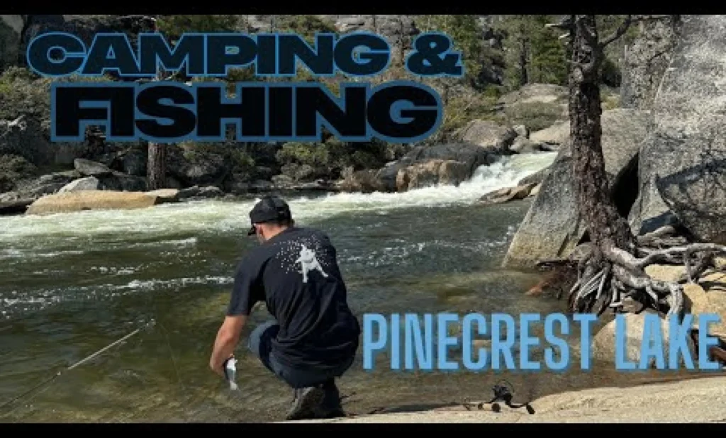 Pinecrest lake fishing report guide california 01