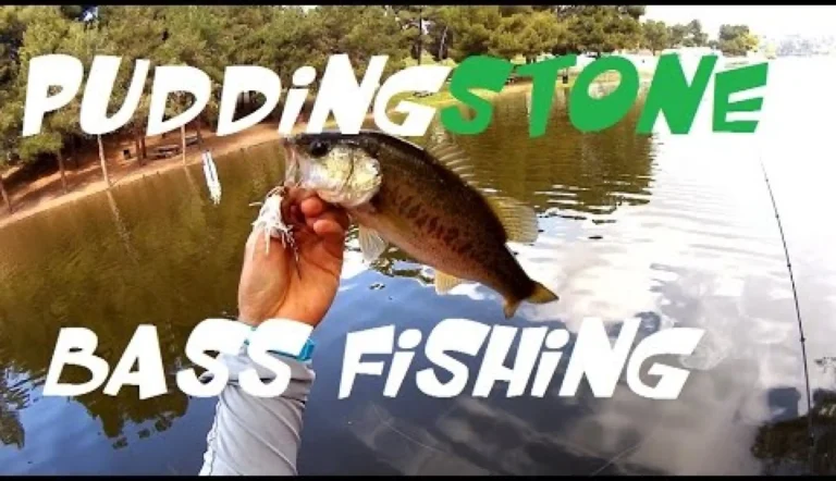 Puddingstone lake fishing report guide california 01