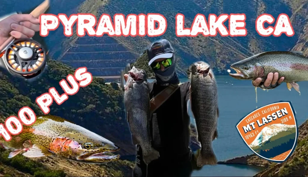 Pyramid lake fishing report guide california 01