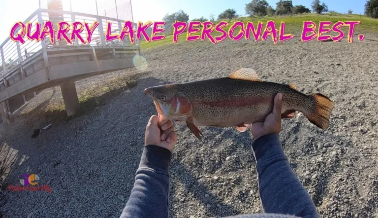 Quarry lake fishing report guide california 01