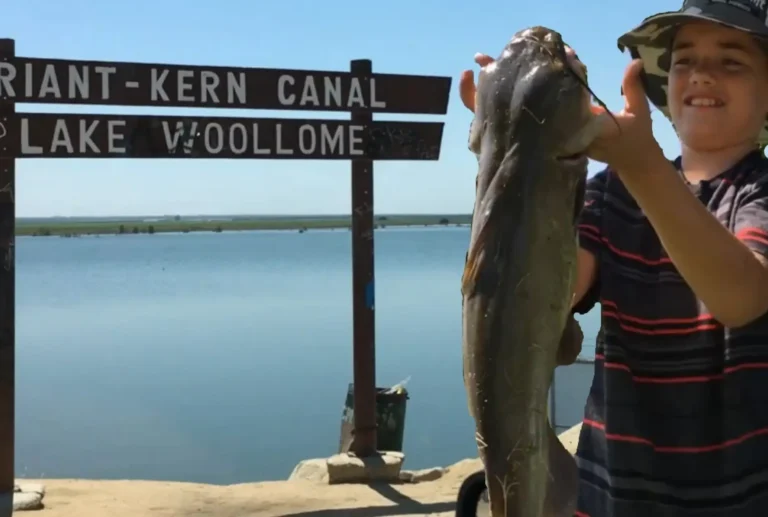 Woollomes lake fishing report guide california