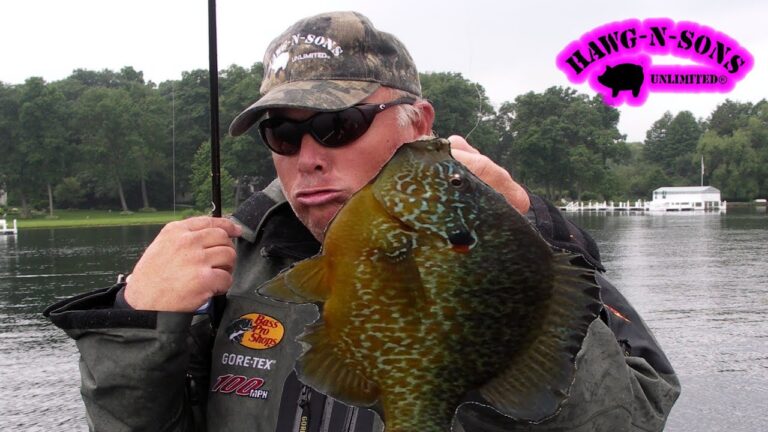 Pumpkinseed sunfish fishing: essential bait, lures & tackle