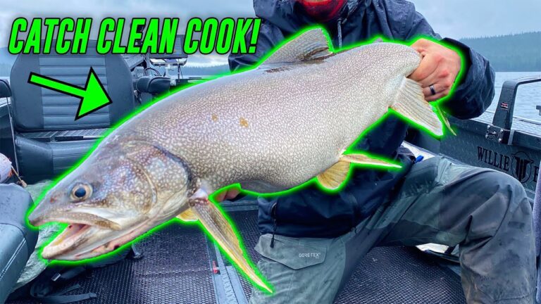 Mackinaw trout fishing: essential bait, lures & tackle