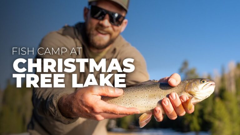 Christmas tree lake fishing guide 🎣