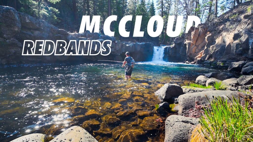 Redband trout fishing: essential bait, lures & tackle