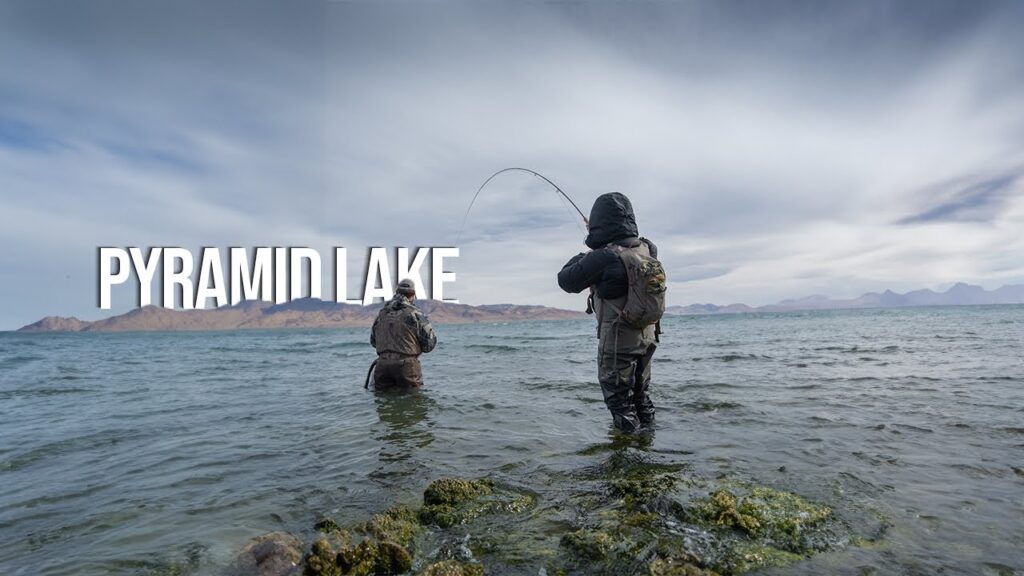 Lahontan cutthroat trout fishing: essential bait, lures & tackle