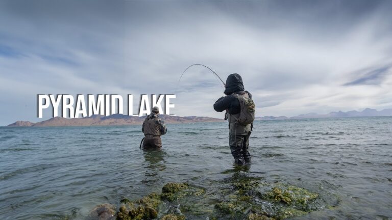 Lahontan cutthroat trout fishing: essential bait, lures & tackle