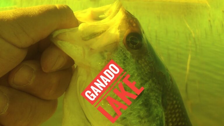 Ganado lake fishing guide 🎣