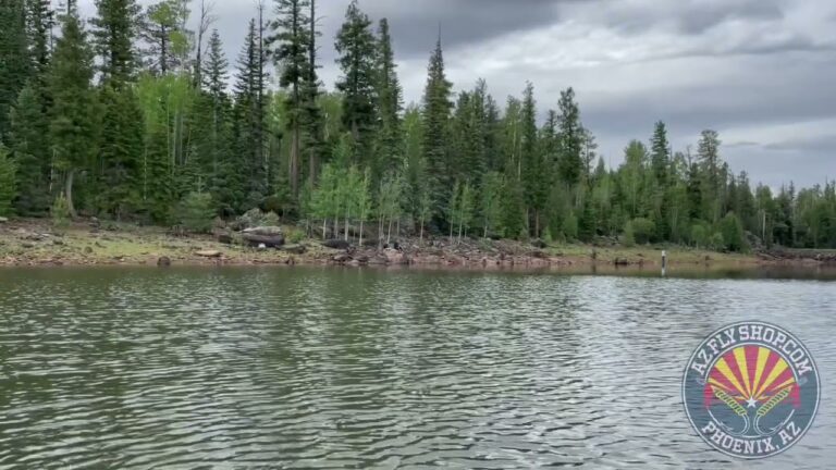 A 1 lake fishing guide 🎣