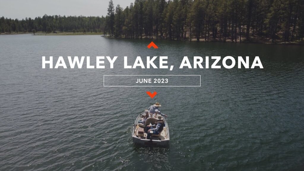 Hawley lake fishing guide 🎣