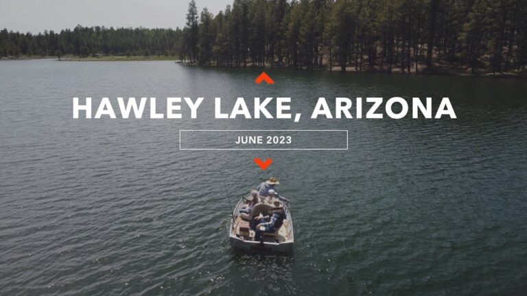 Hawley lake fishing guide 🎣