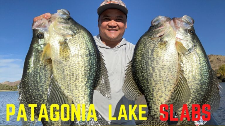 Patagonia lake fishing guide 🎣