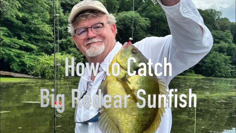 Redear sunfish fishing: essential bait, lures & tackle